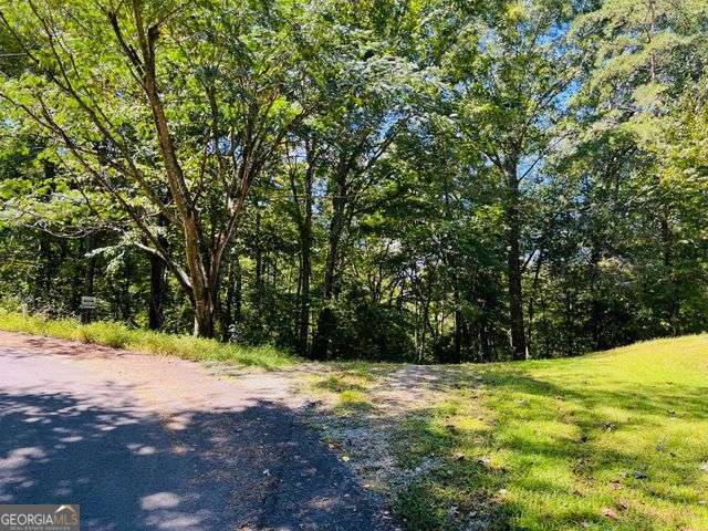 4 Maxwell Mountain Road Property Photo 14