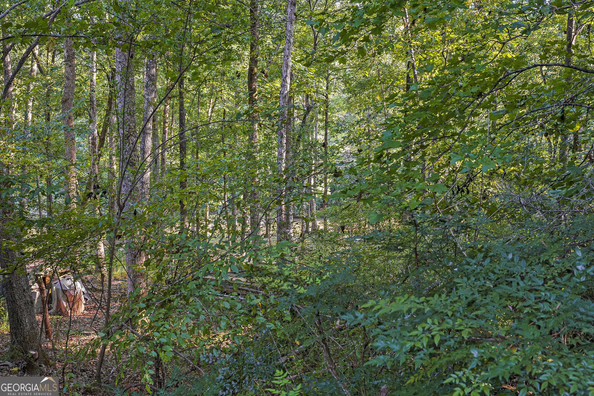 407 River Forest Drive Property Photo 42