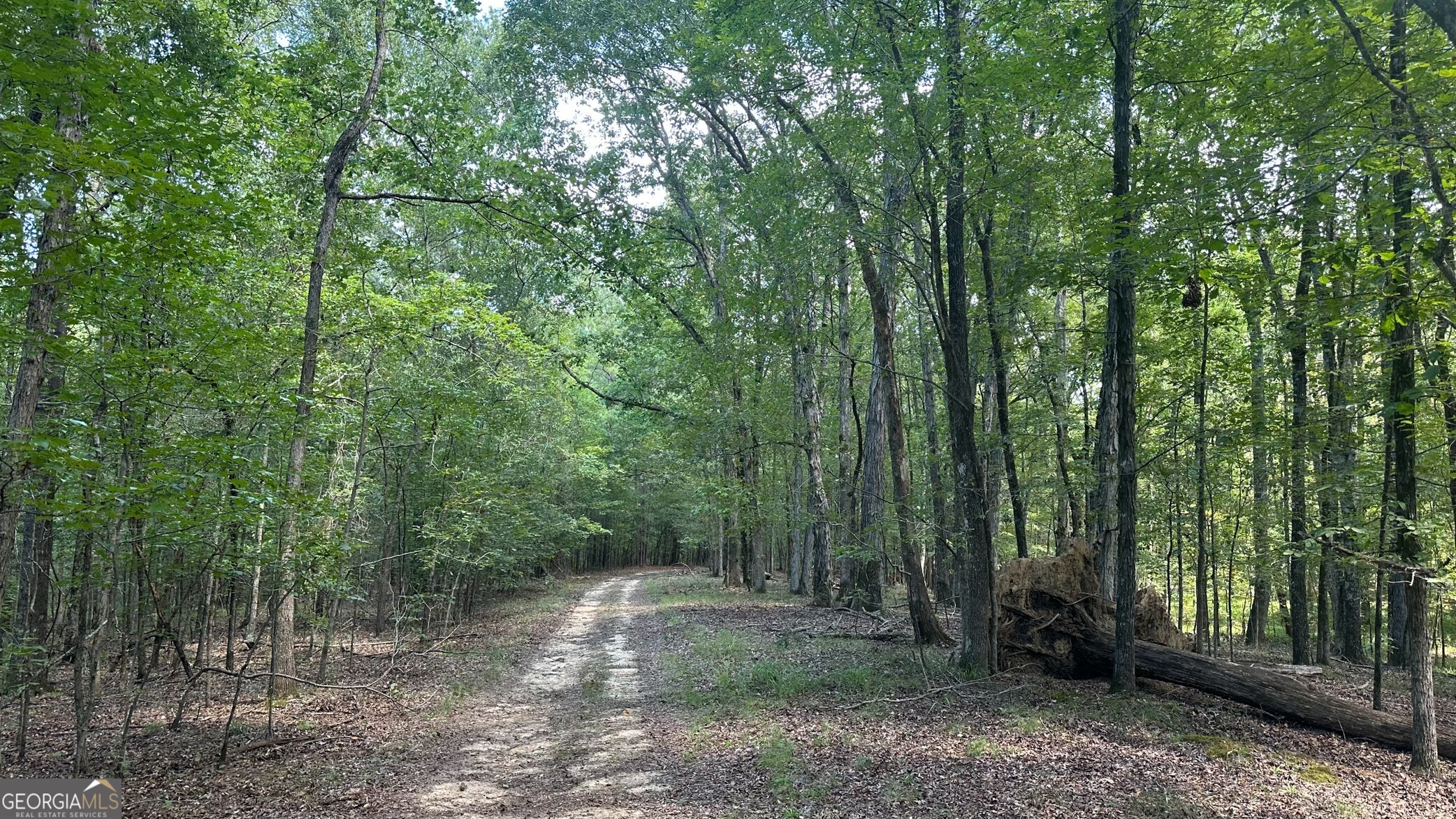 0 Ethridge Road Property Photo 1