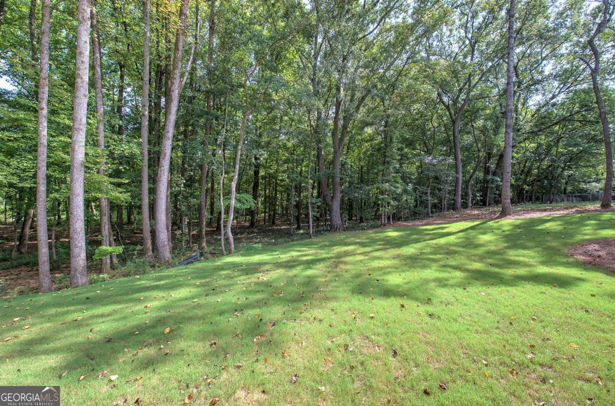 10 Dove Pointe Property Photo 53