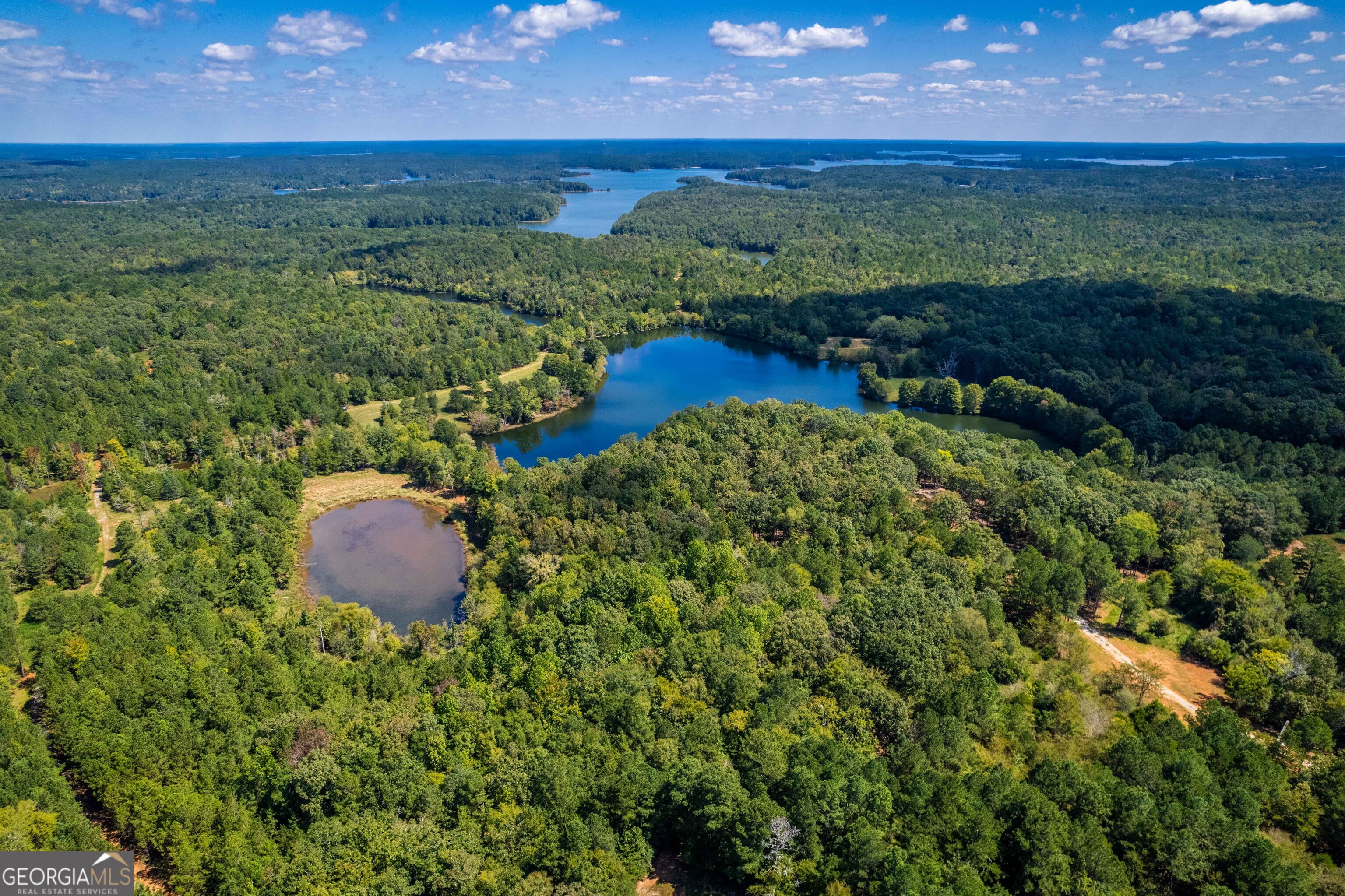 2688 Calhoun Falls Highway Property Photo 4