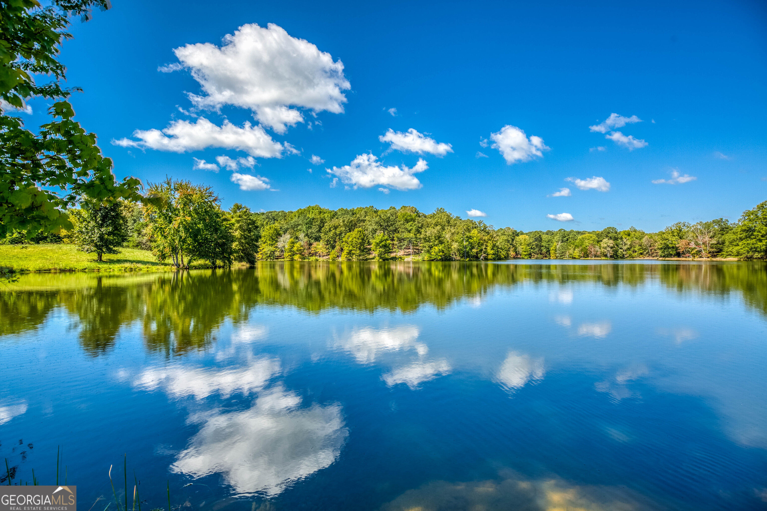 2688 Calhoun Falls Highway Property Photo 11