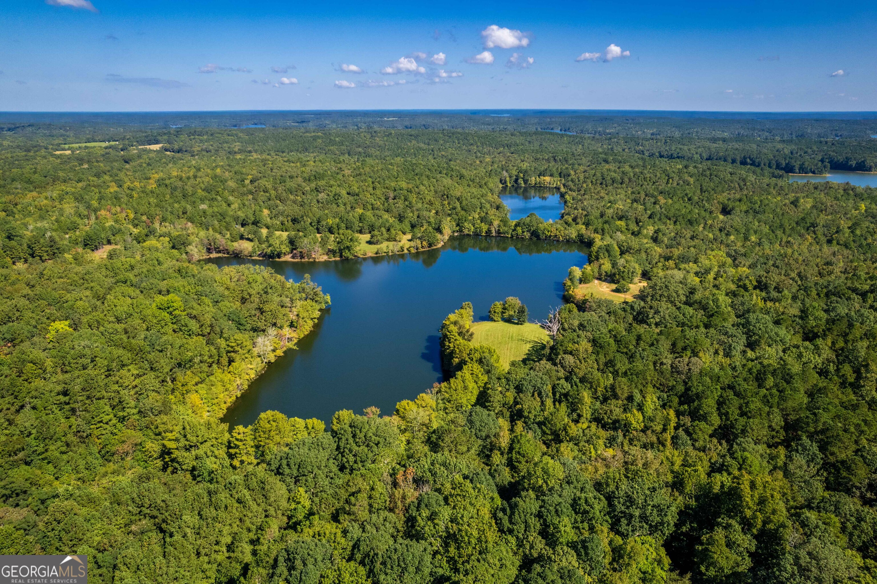 2688 Calhoun Falls Highway Property Photo 14