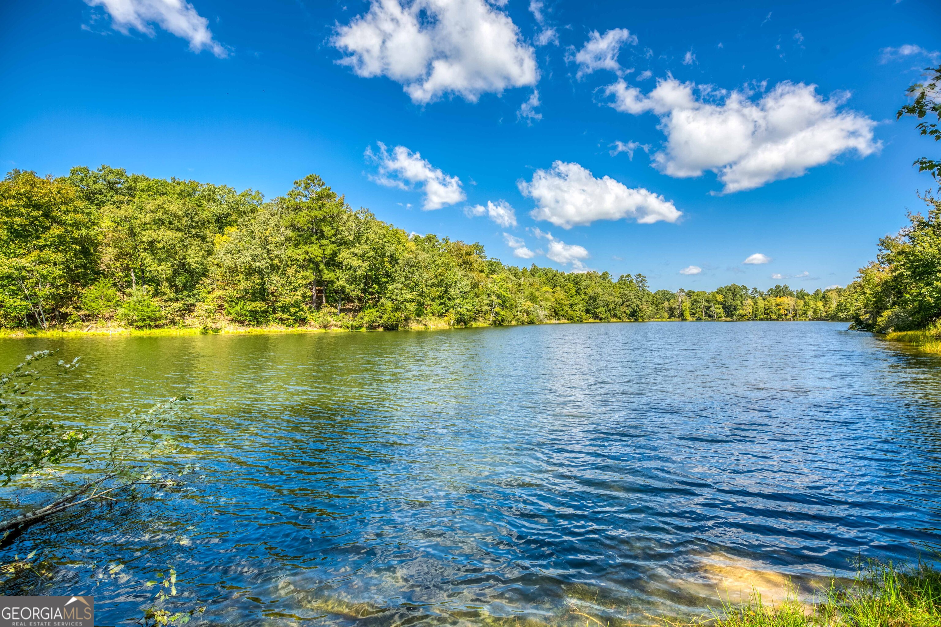 2688 Calhoun Falls Highway Property Photo 16