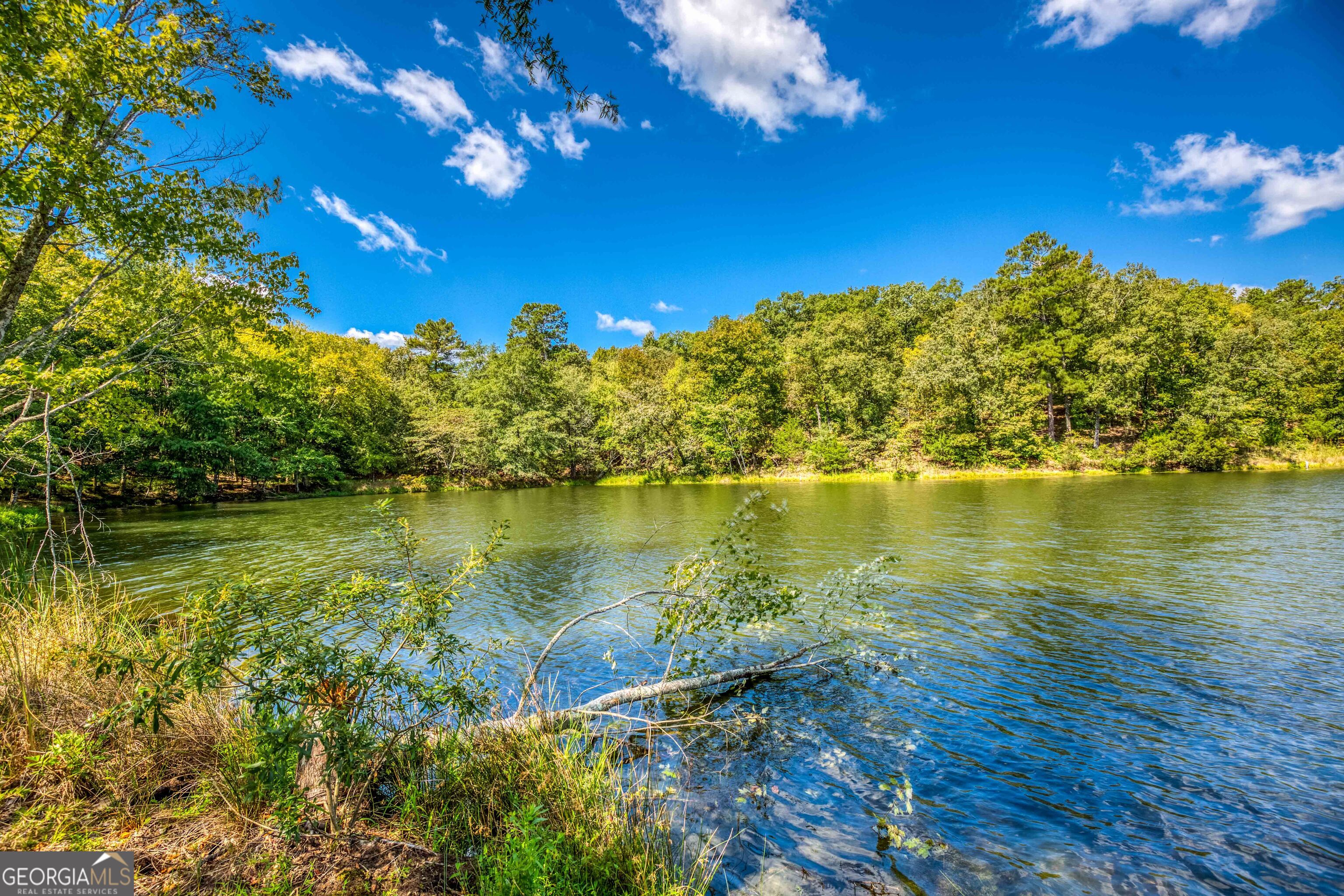 2688 Calhoun Falls Highway Property Photo 17