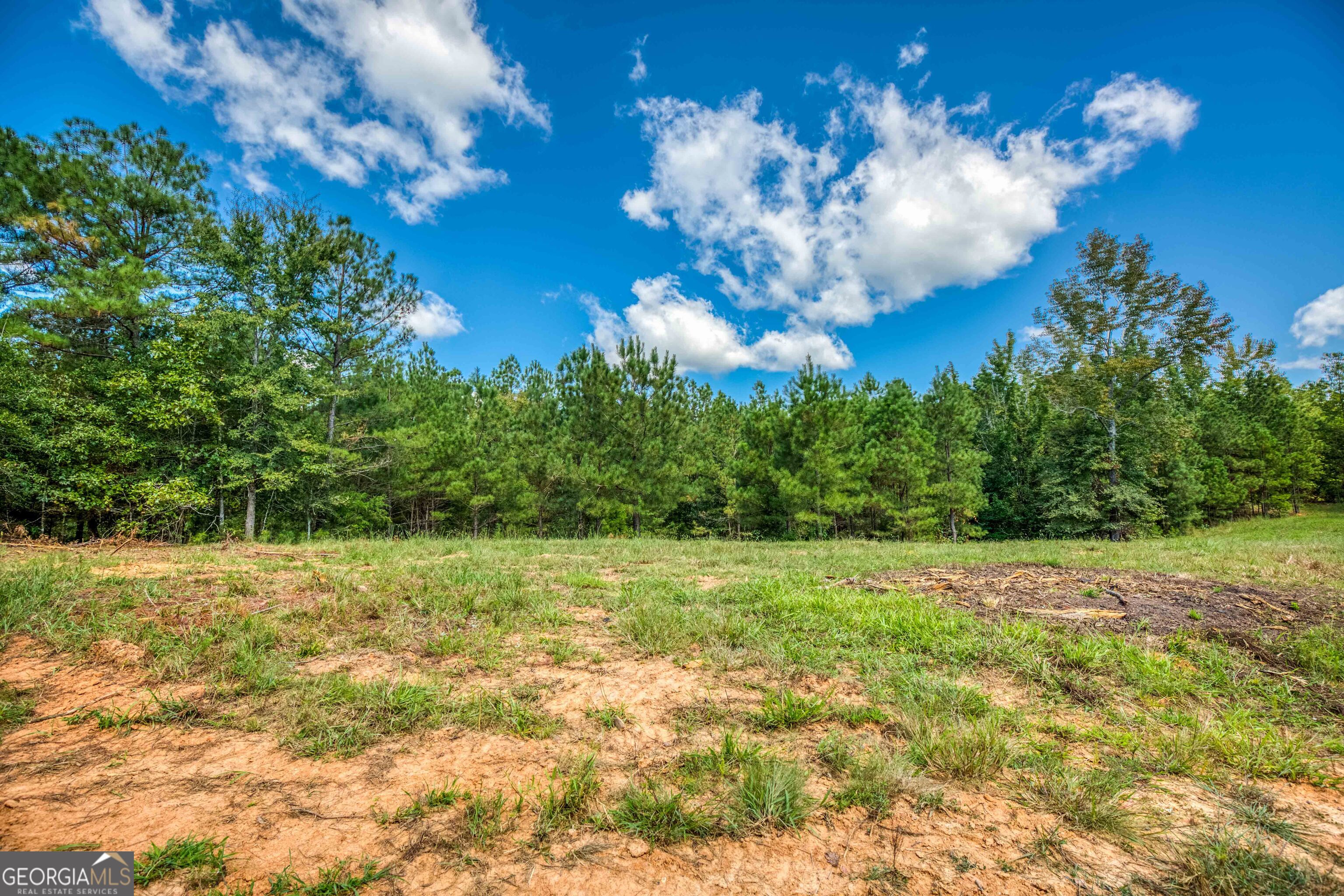 2688 Calhoun Falls Highway Property Photo 23