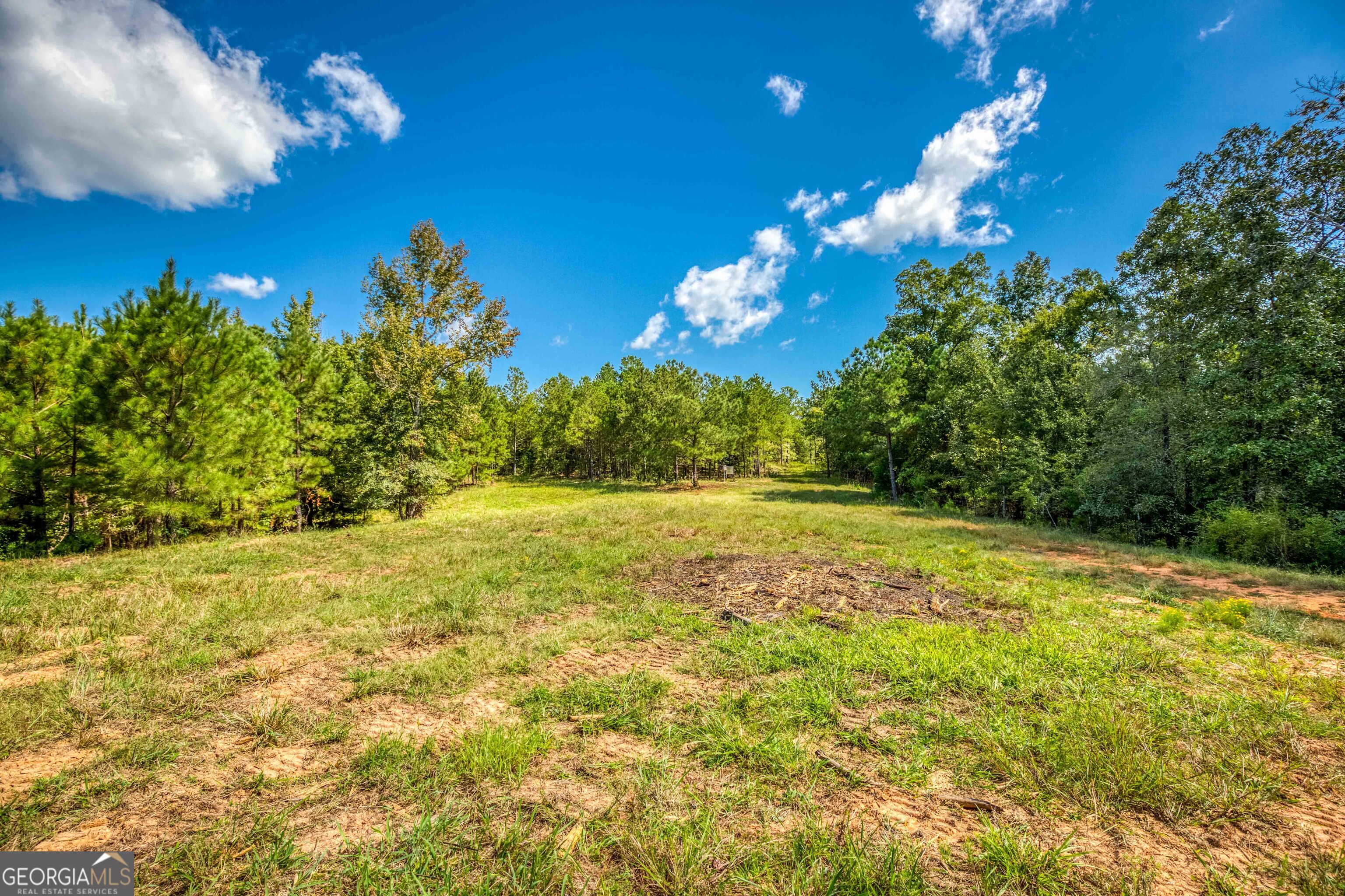 2688 Calhoun Falls Highway Property Photo 25