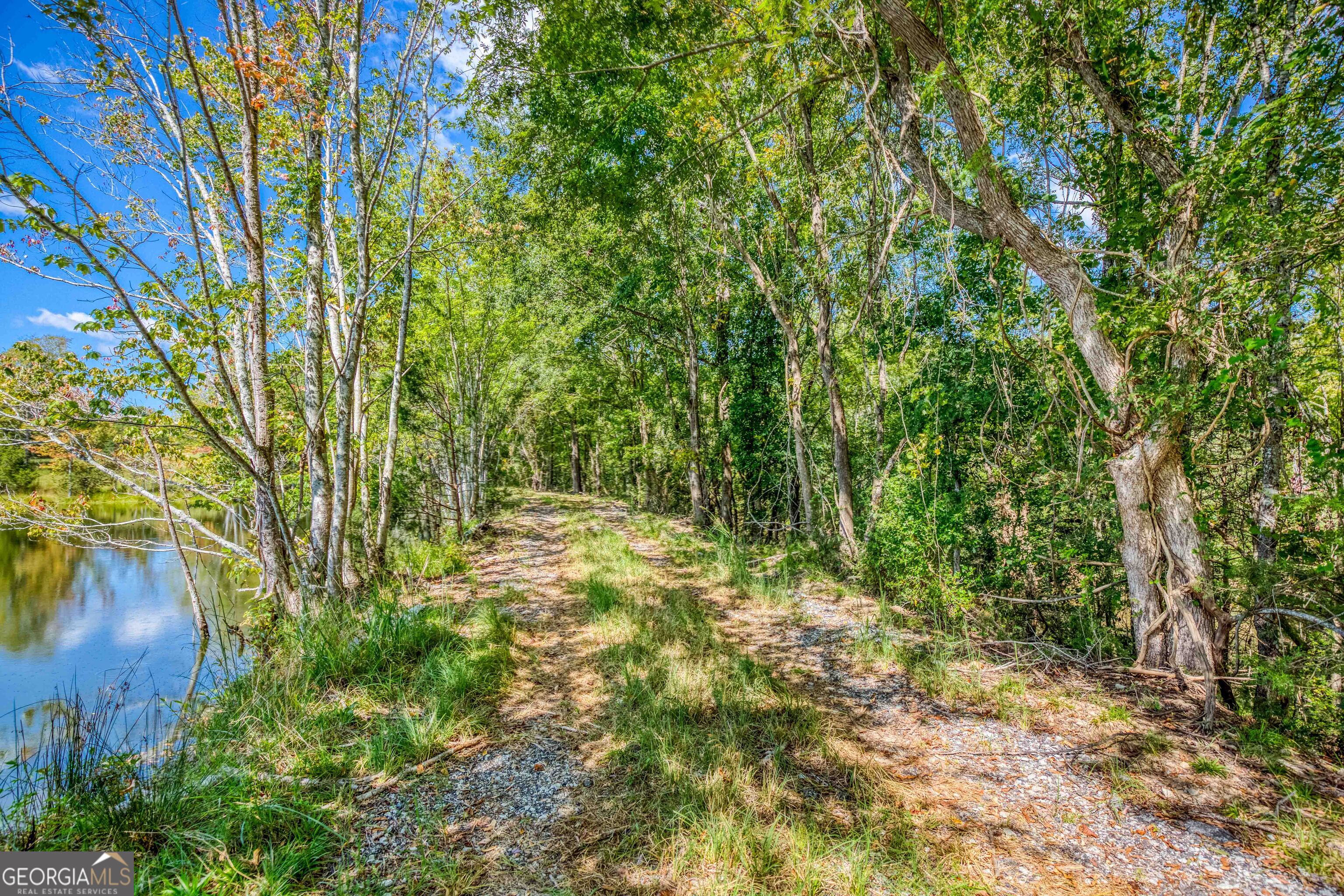2688 Calhoun Falls Highway Property Photo 30