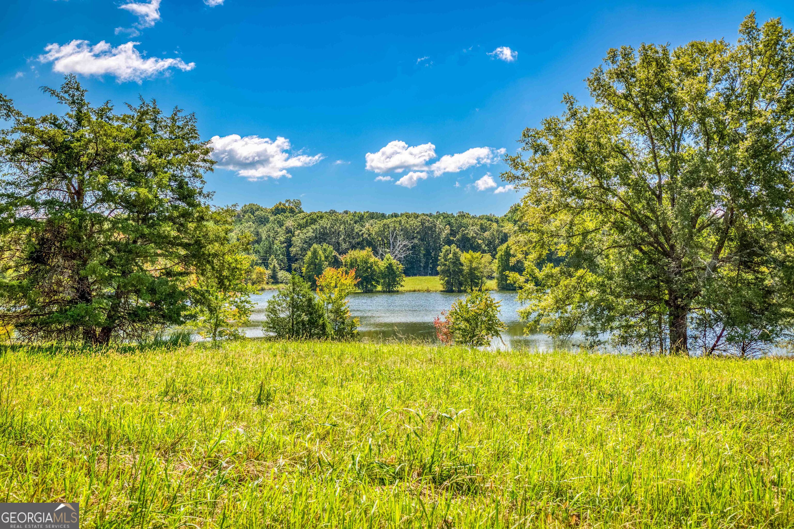 2688 Calhoun Falls Highway Property Photo 31