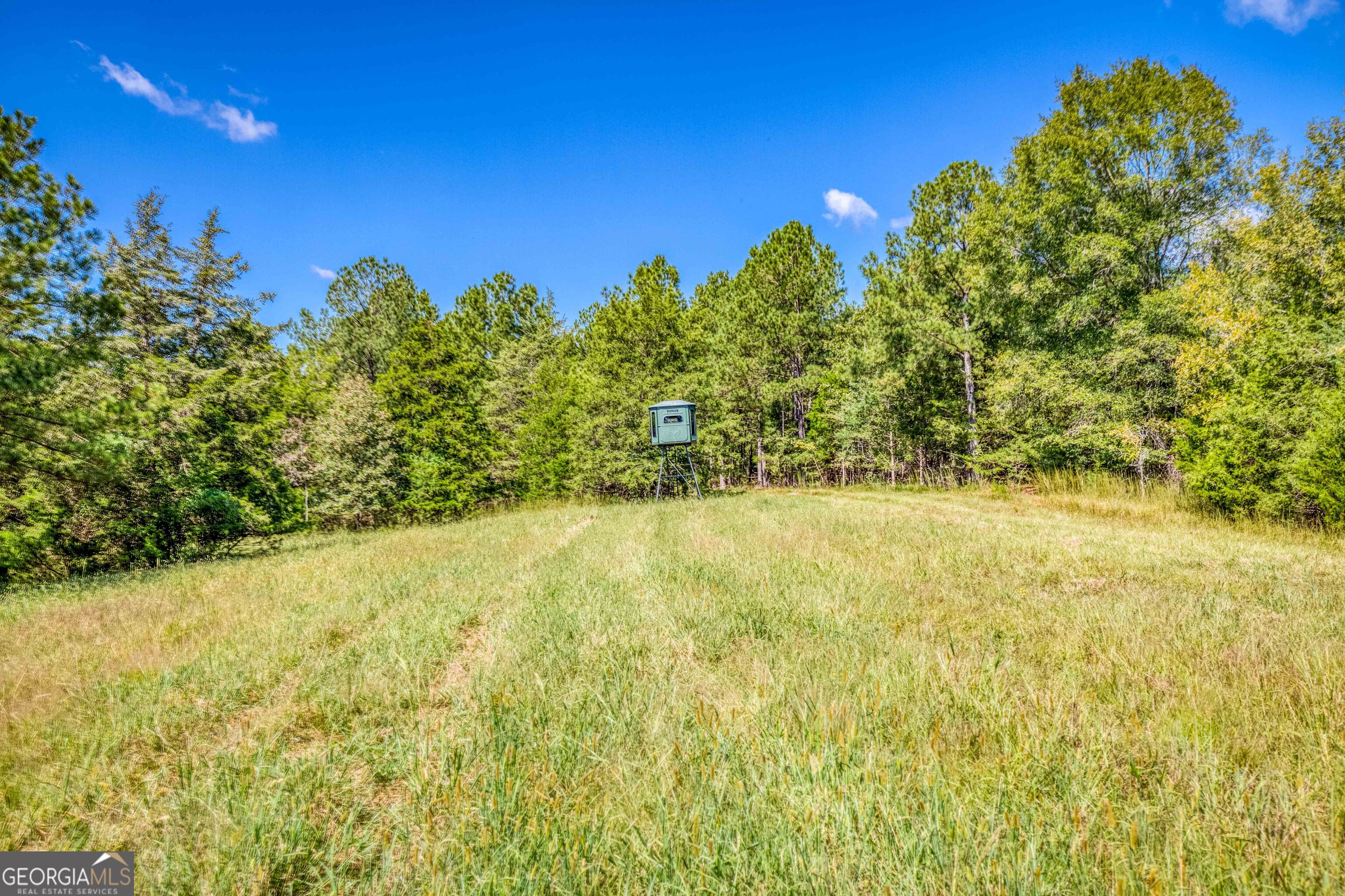 2688 Calhoun Falls Highway Property Photo 32