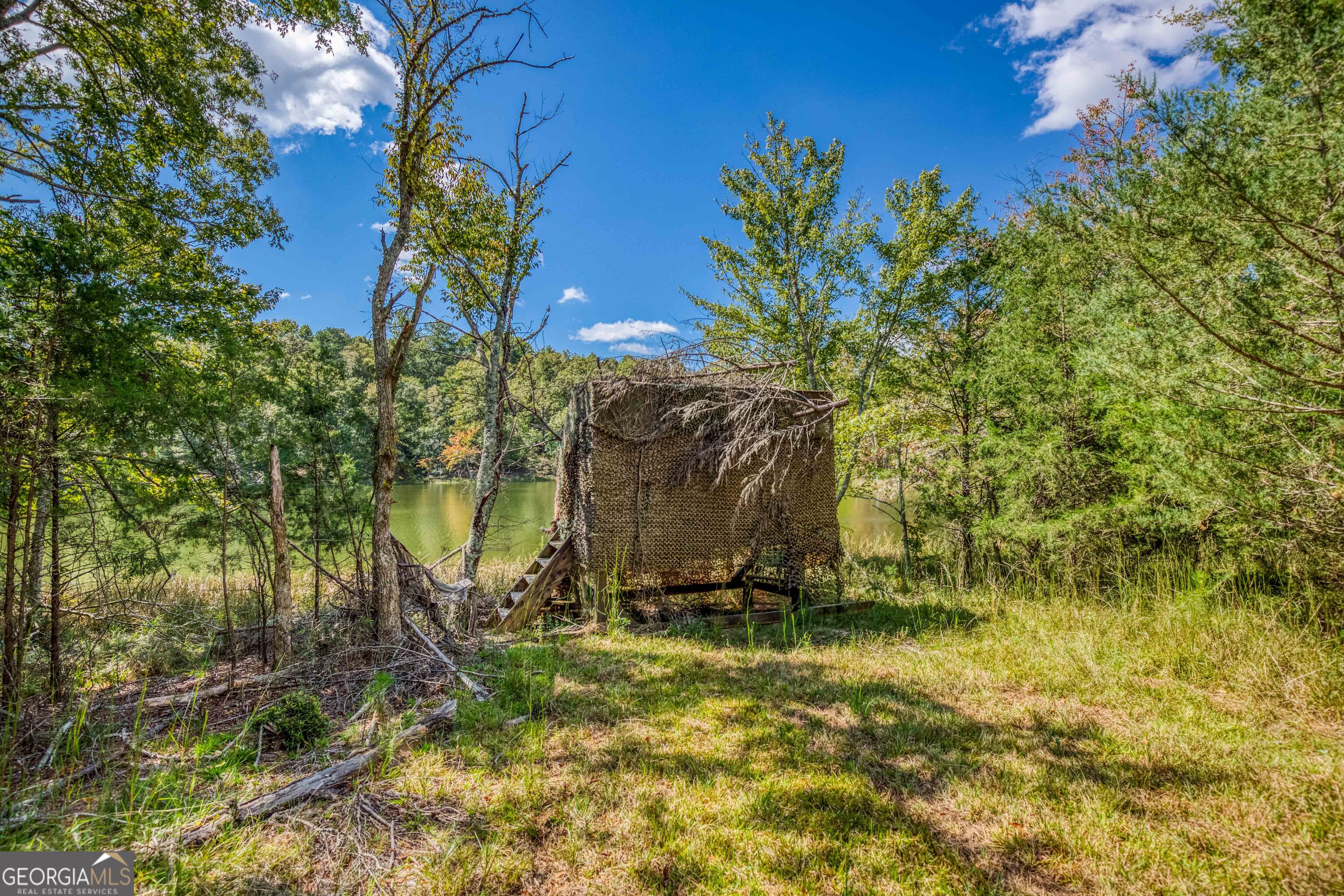 2688 Calhoun Falls Highway Property Photo 33