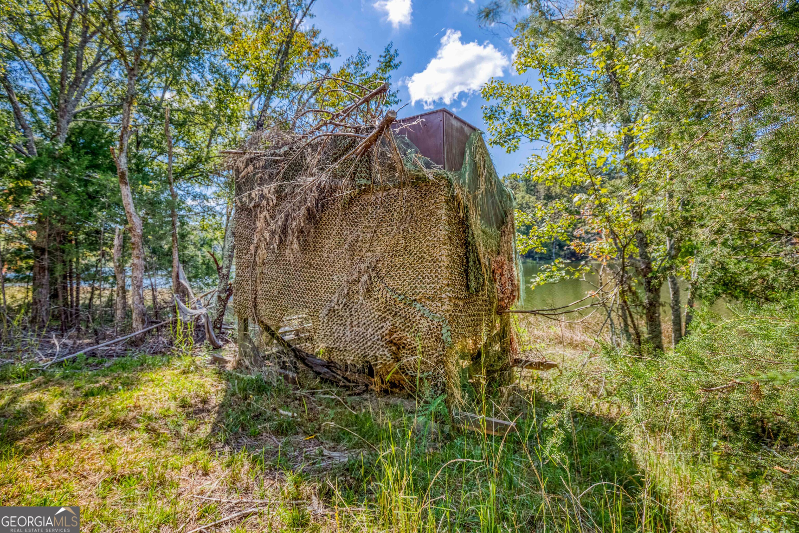 2688 Calhoun Falls Highway Property Photo 34