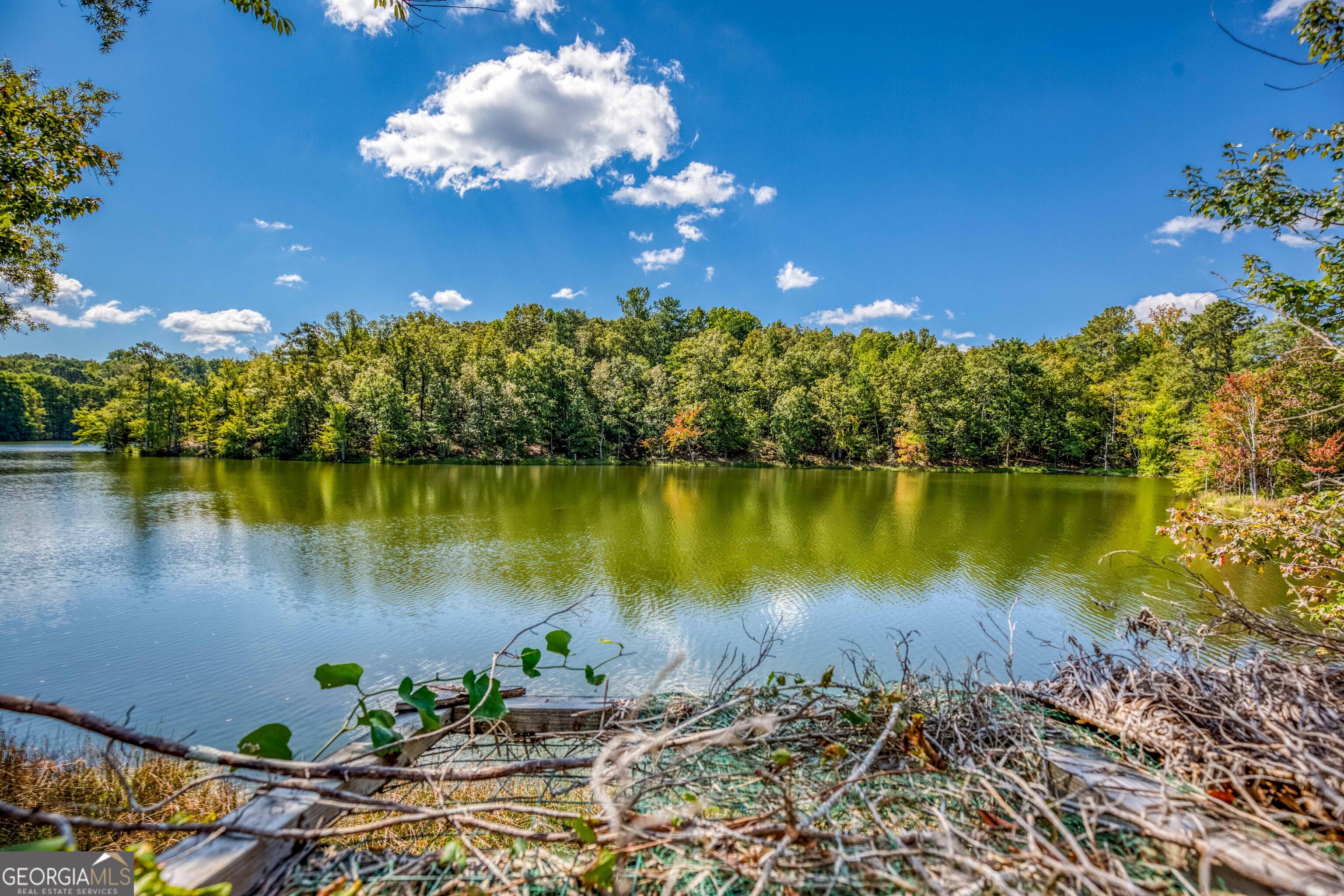 2688 Calhoun Falls Highway Property Photo 36