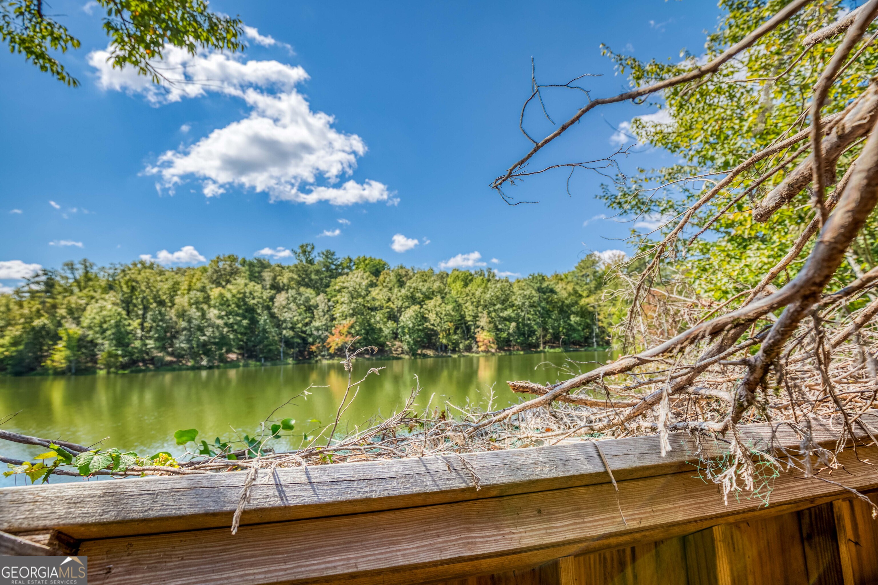 2688 Calhoun Falls Highway Property Photo 37