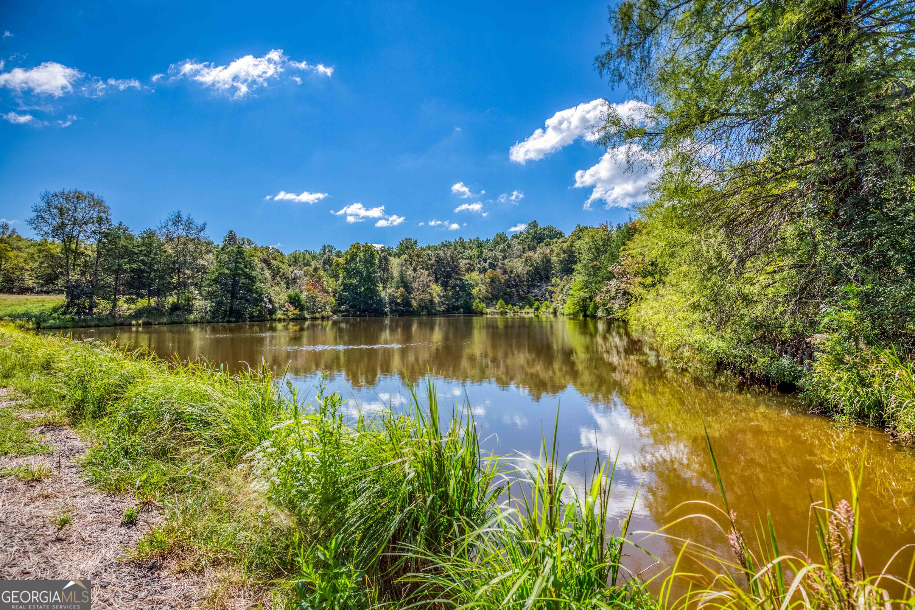 2688 Calhoun Falls Highway Property Photo 38