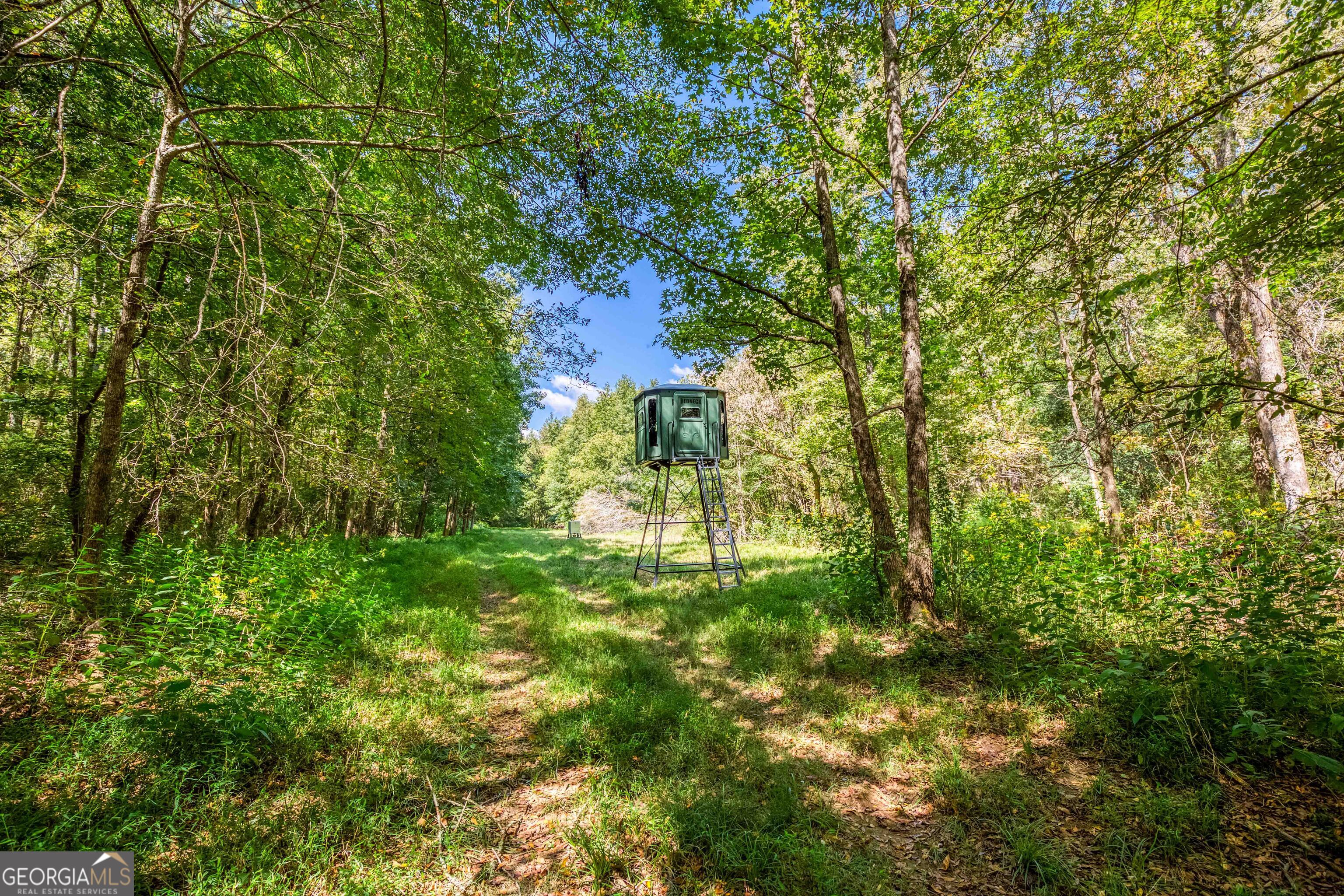 2688 Calhoun Falls Highway Property Photo 39