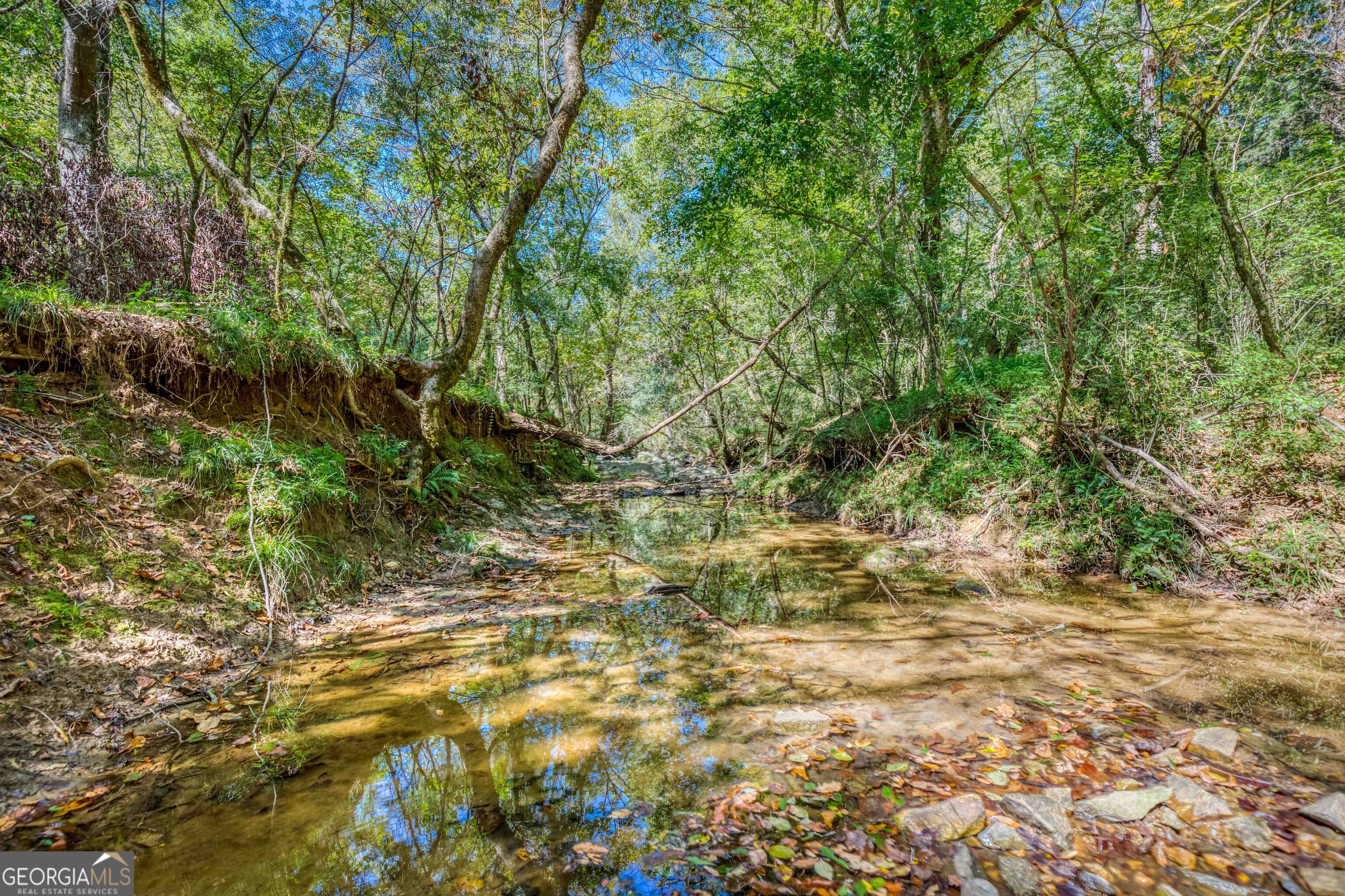 2688 Calhoun Falls Highway Property Photo 40