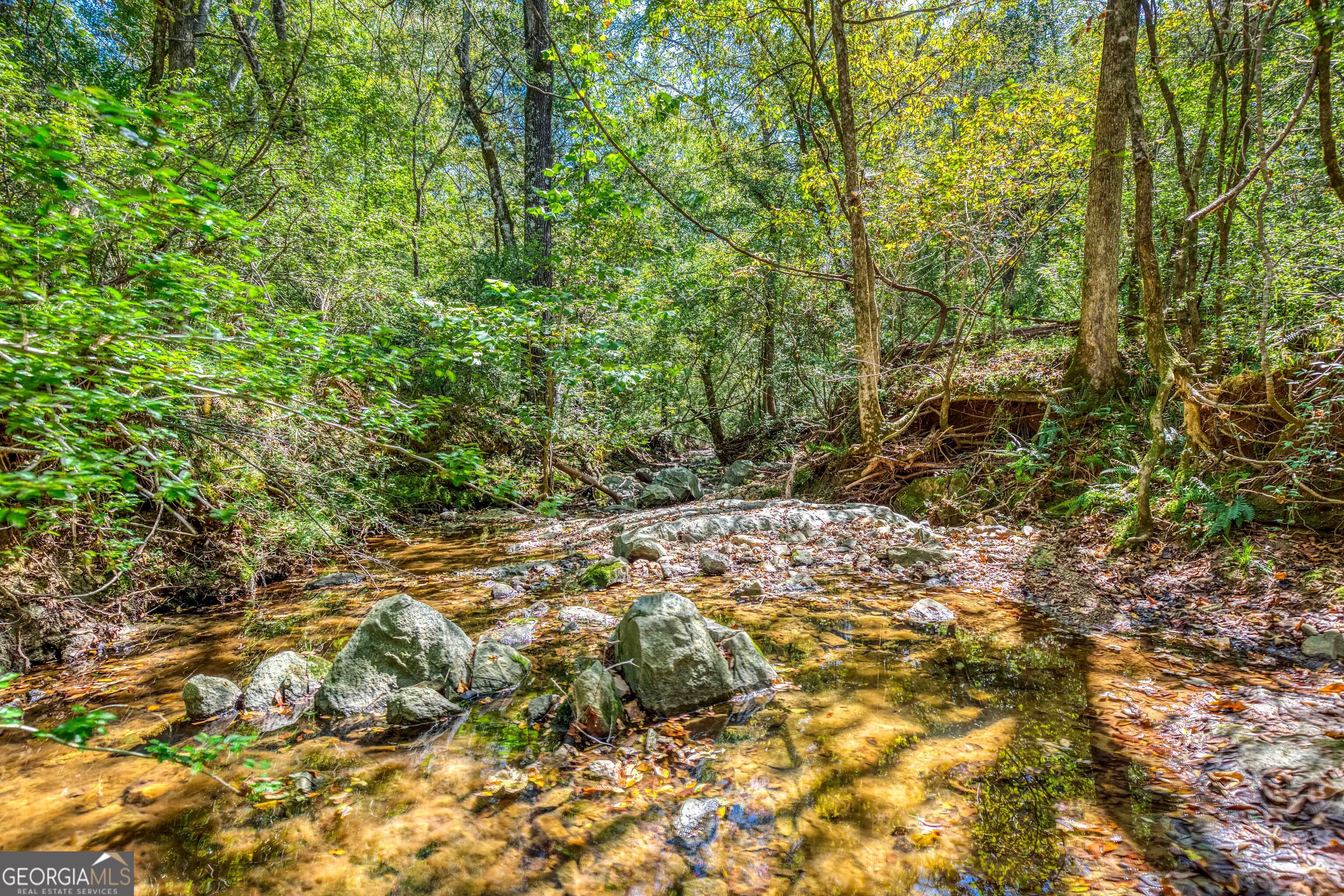 2688 Calhoun Falls Highway Property Photo 41