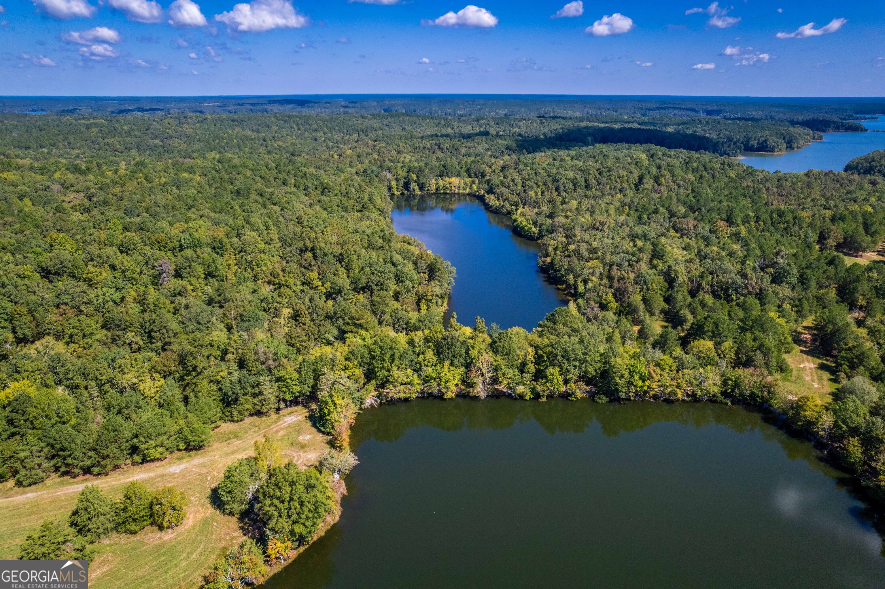 2688 Calhoun Falls Highway Property Photo 45