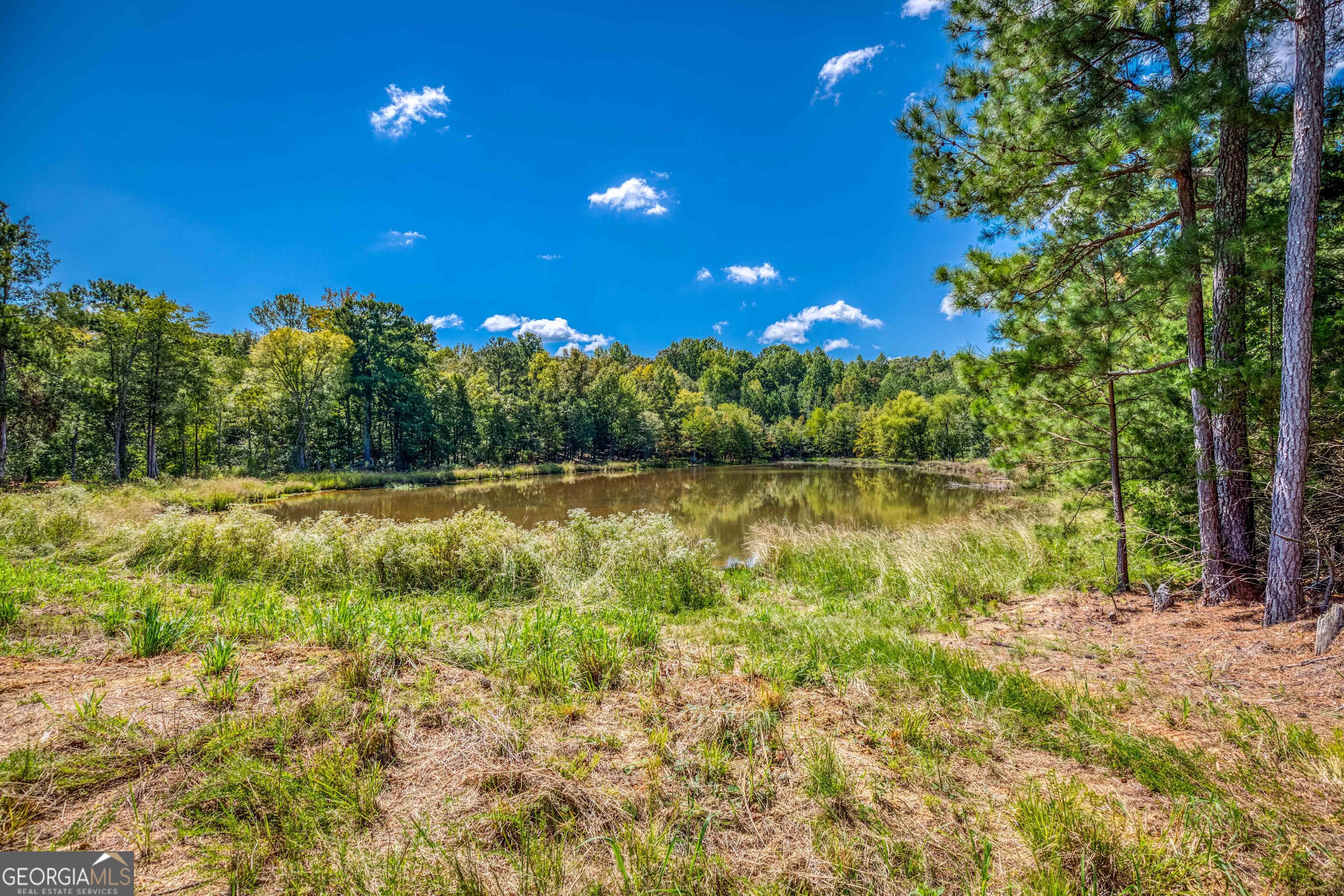 2688 Calhoun Falls Highway Property Photo 47