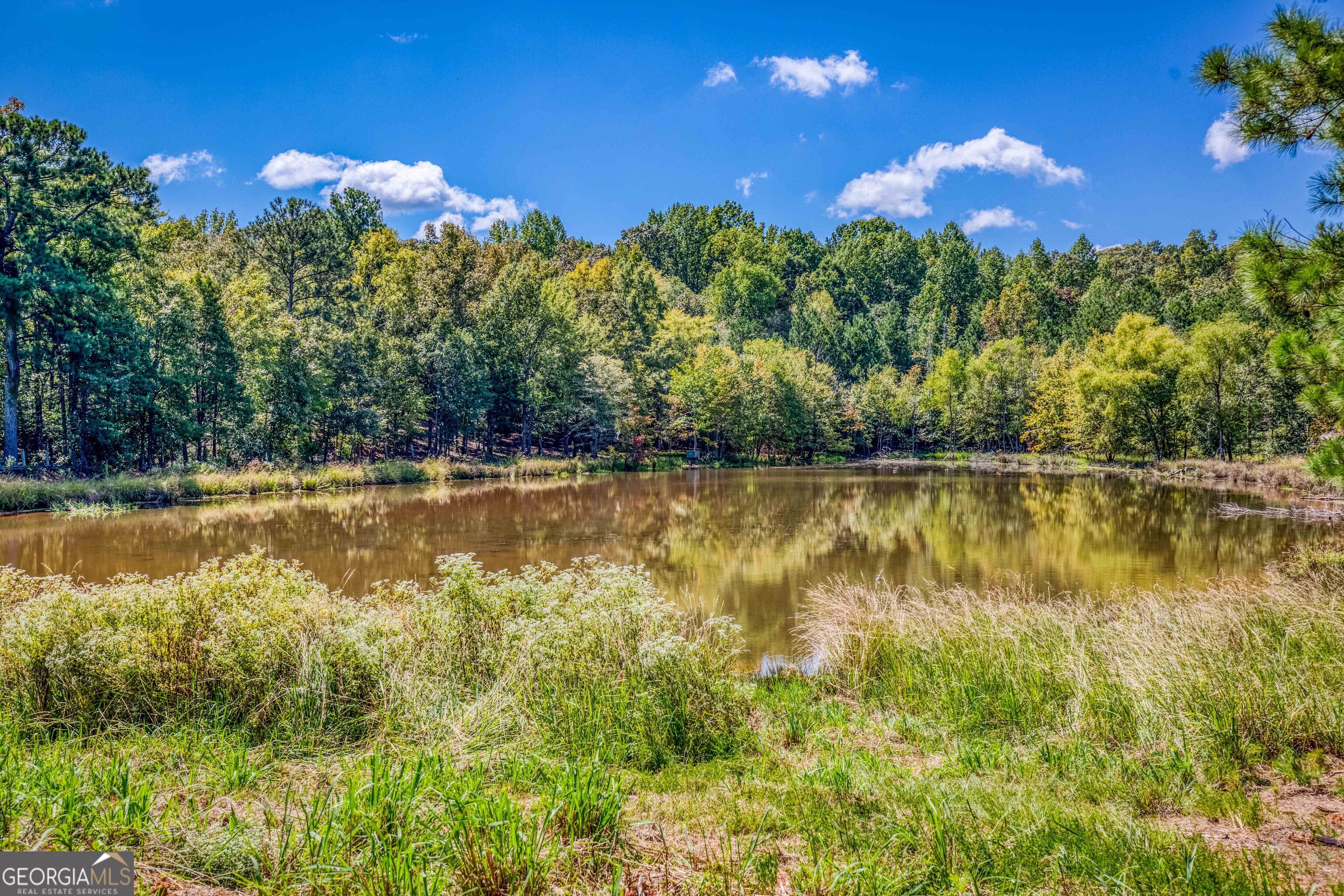 2688 Calhoun Falls Highway Property Photo 48