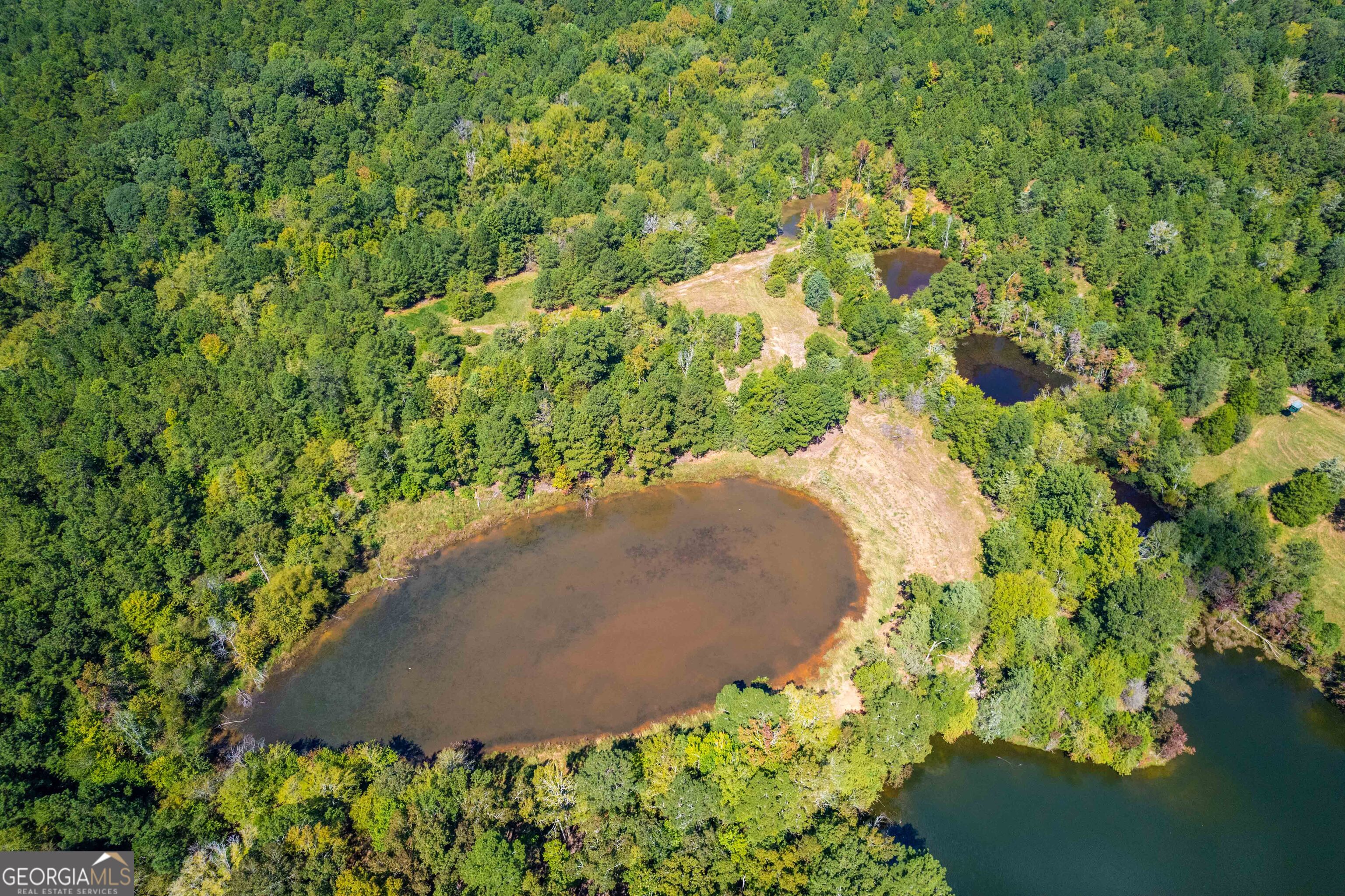 2688 Calhoun Falls Highway Property Photo 54