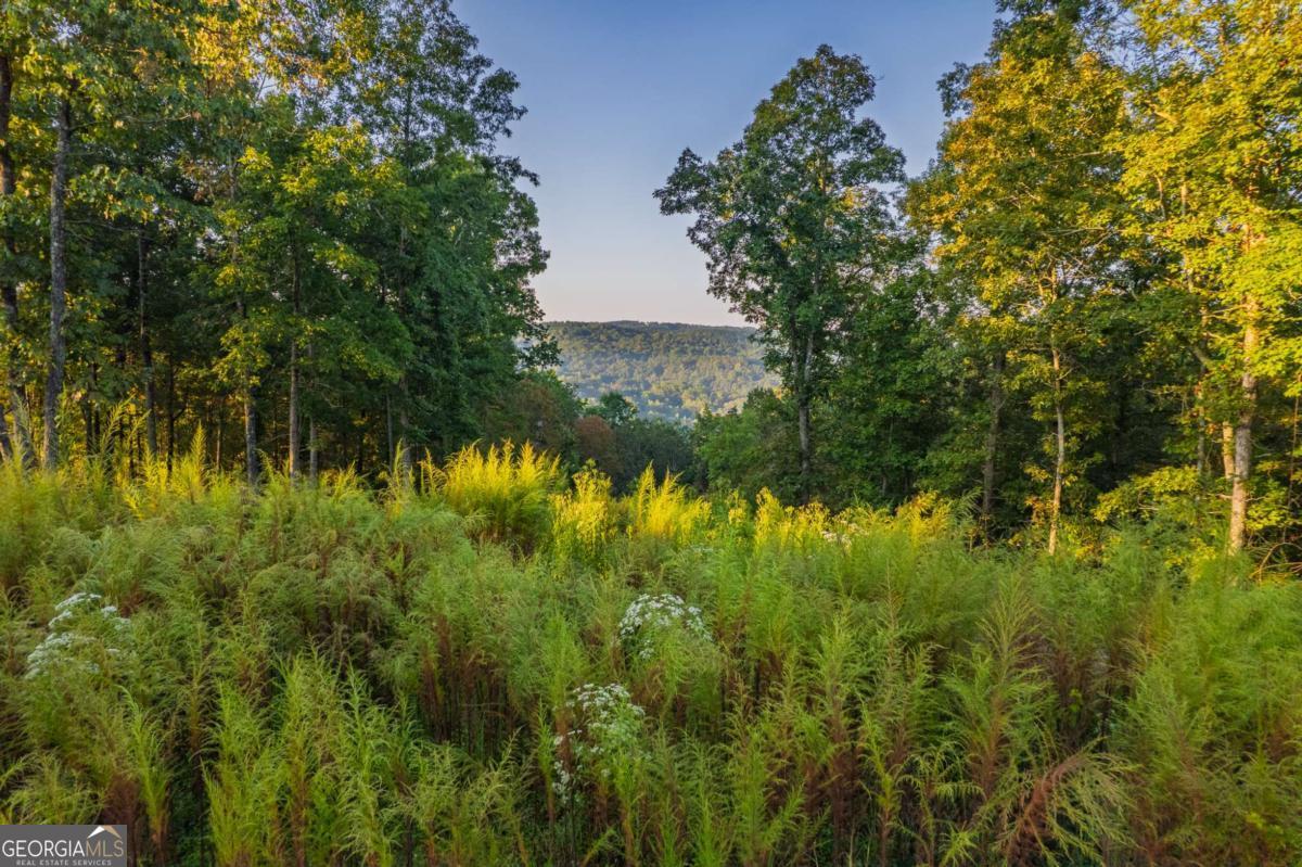 LOT 290 Anglers Ridge Road Property Photo 1