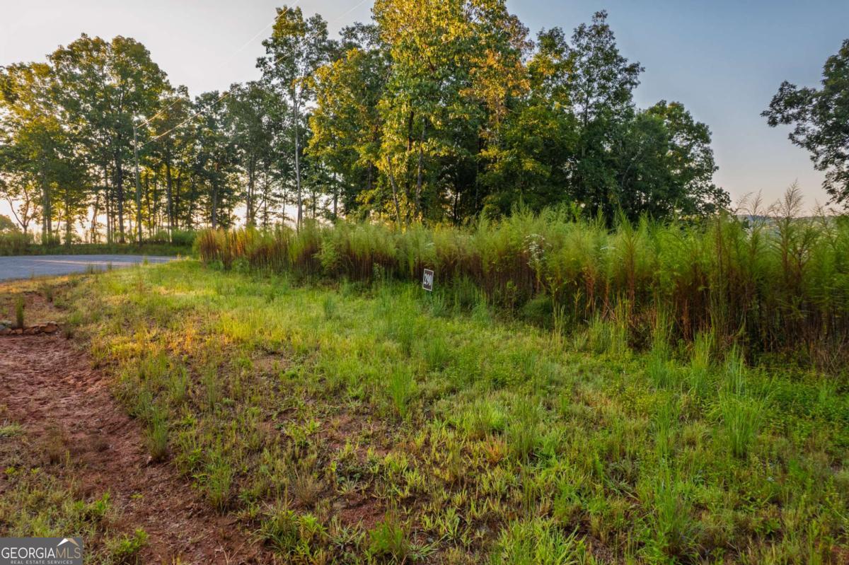 Lot 290 Anglers Ridge Road Property Photo 5
