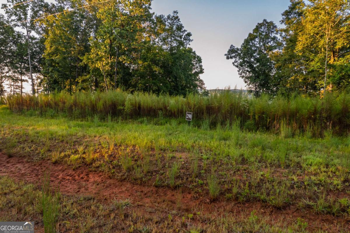 Lot 290 Anglers Ridge Road Property Photo 6