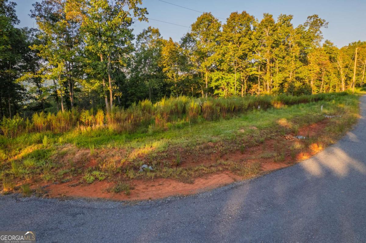 Lot 290 Anglers Ridge Road Property Photo 7