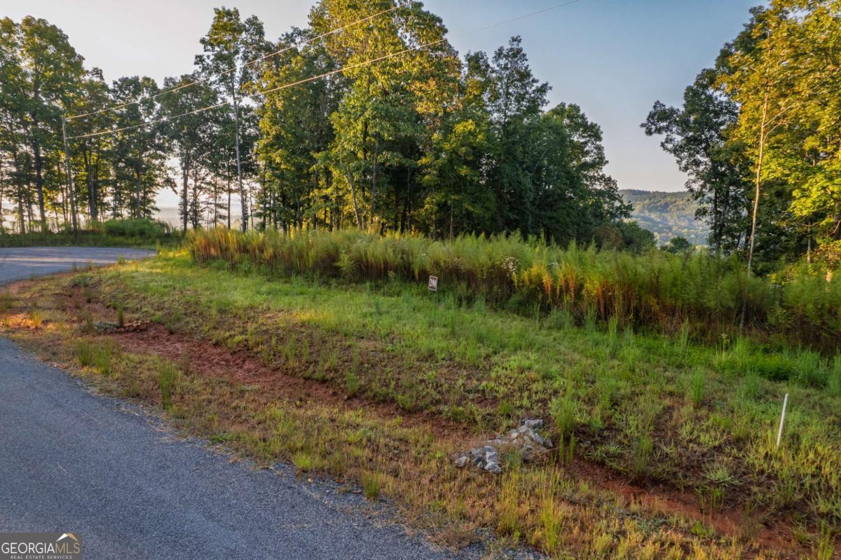 Lot 290 Anglers Ridge Road Property Photo 8