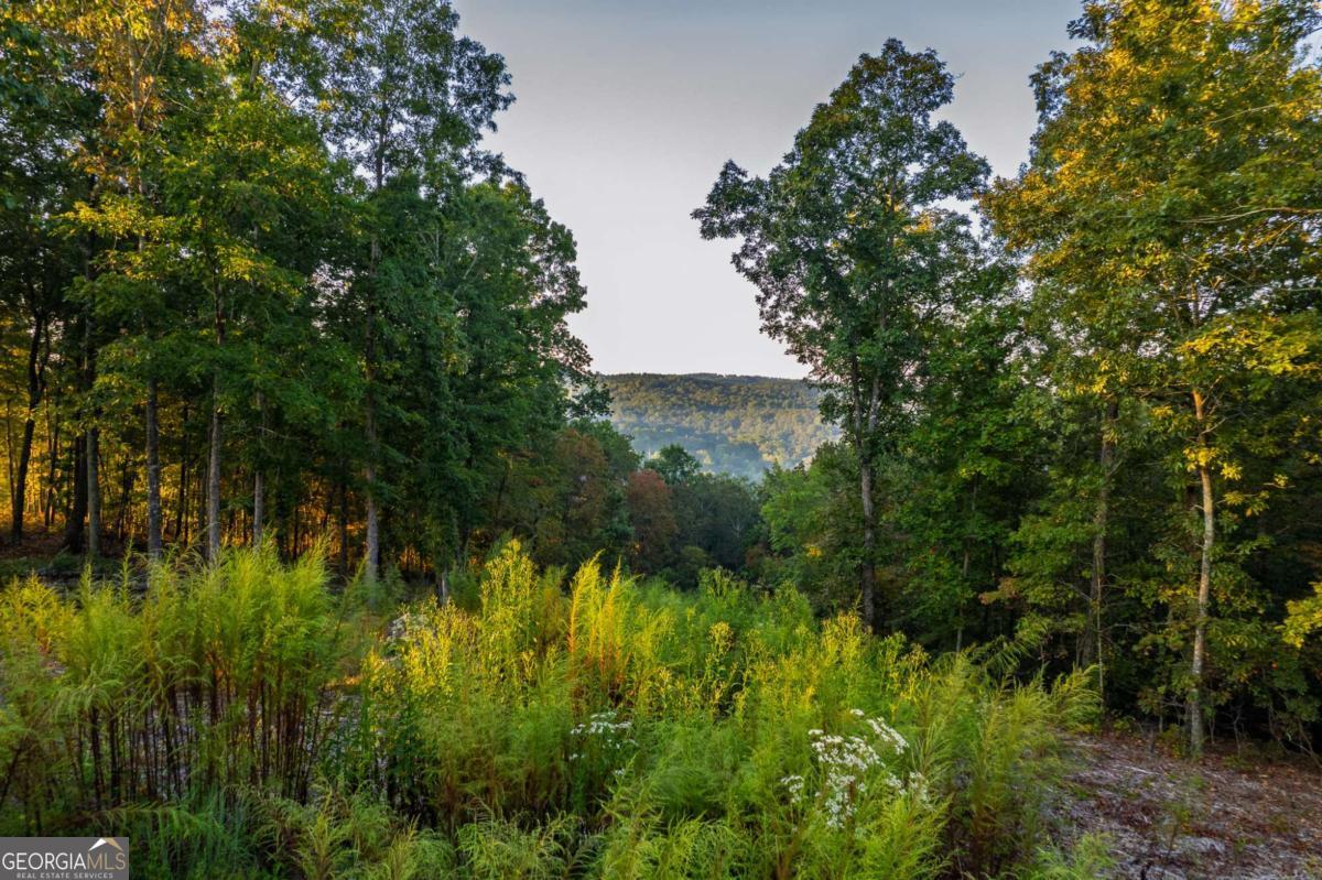 Lot 290 Anglers Ridge Road Property Photo 9