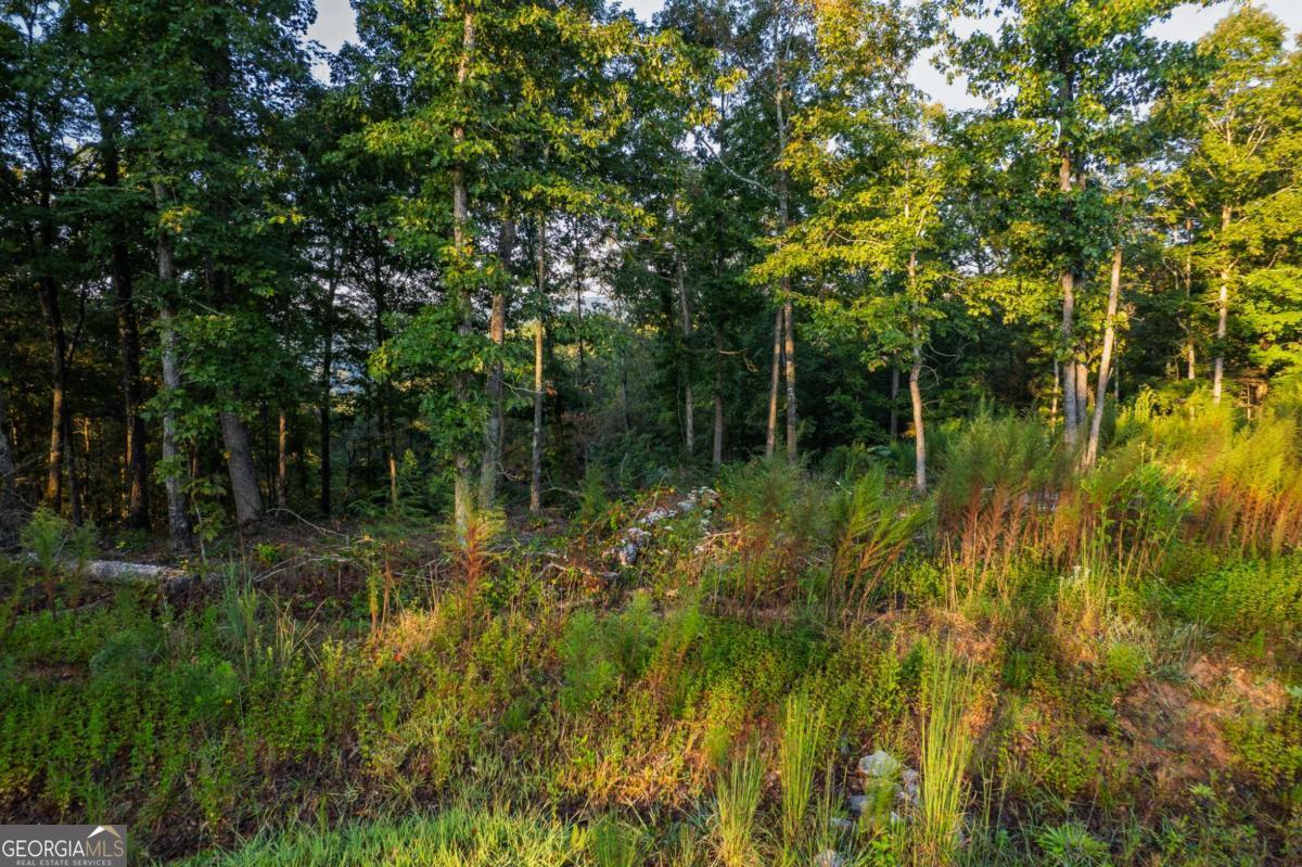 Lot 290 Anglers Ridge Road Property Photo 10
