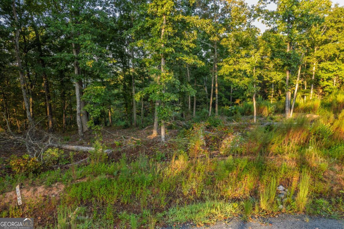 Lot 290 Anglers Ridge Road Property Photo 11