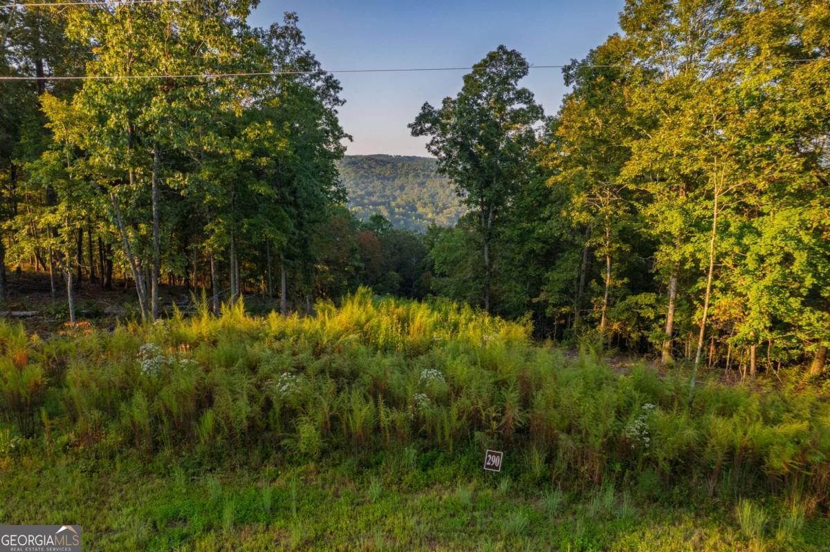 Lot 290 Anglers Ridge Road Property Photo 12