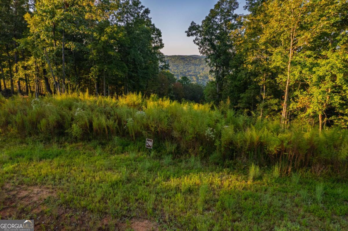 Lot 290 Anglers Ridge Road Property Photo 13