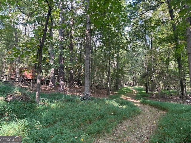 4349 Abbotts Bridge Road Property Photo 27
