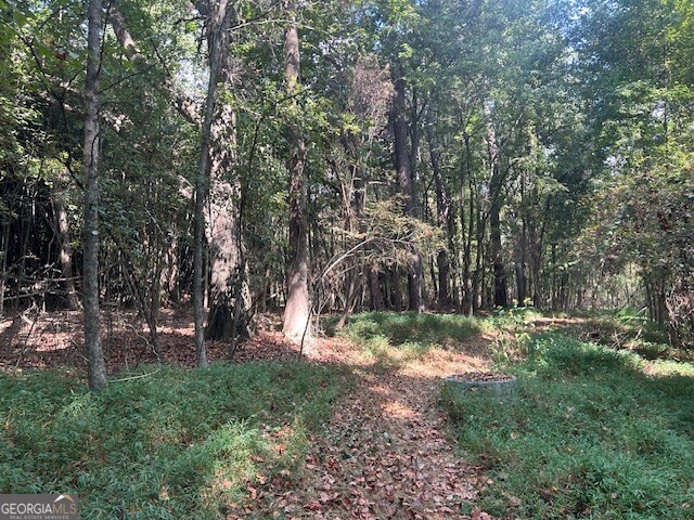 4349 Abbotts Bridge Road Property Photo 28