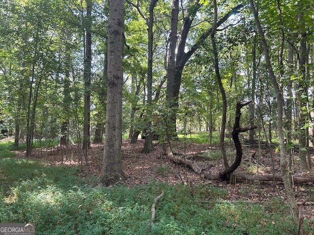 4349 Abbotts Bridge Road Property Photo 29