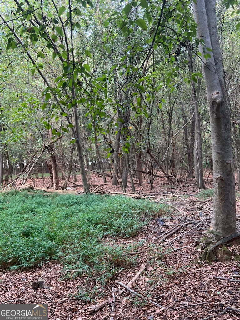 4349 Abbotts Bridge Road Property Photo 37