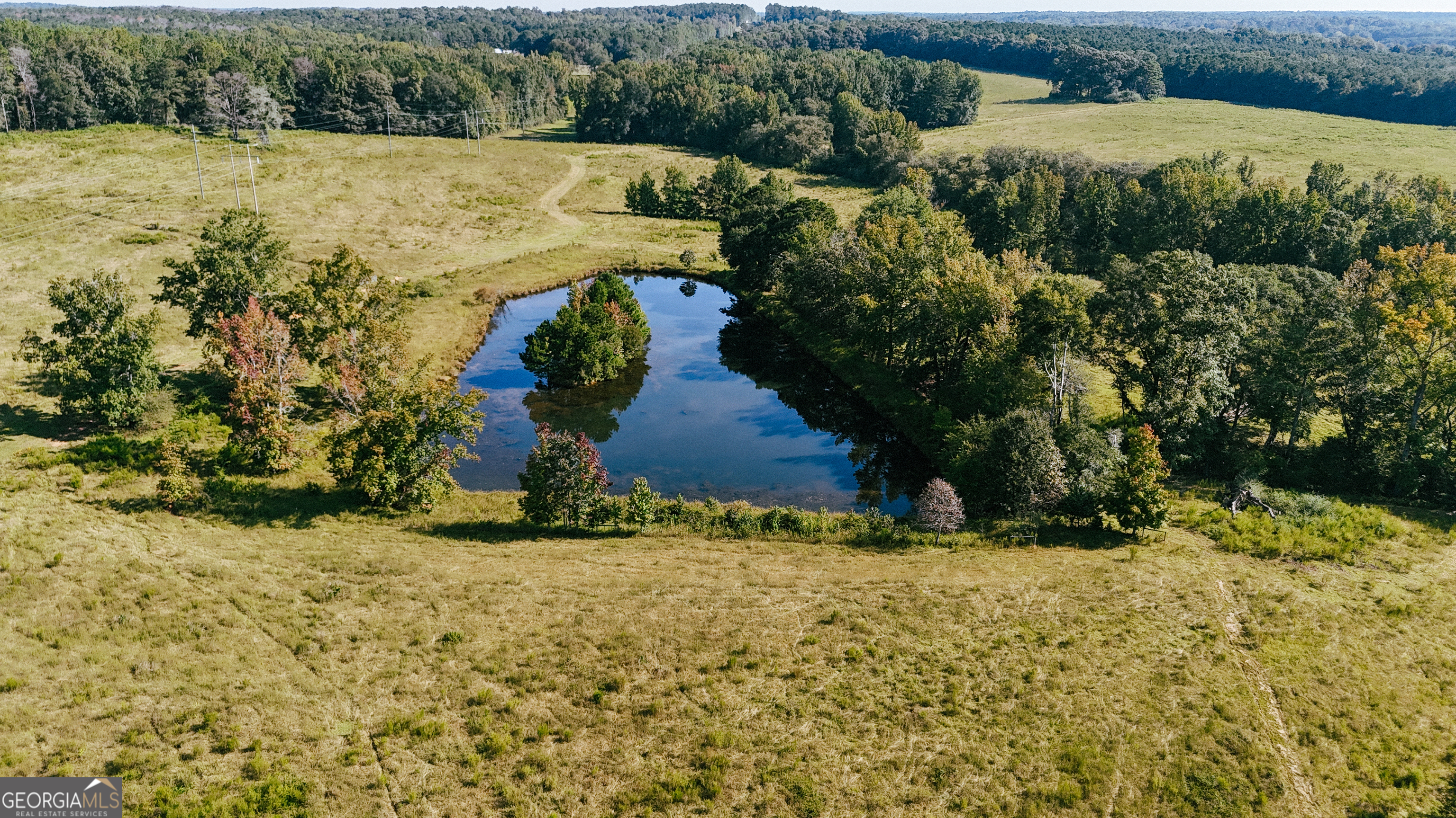 0 (259.67+/-ac) Bohannon Road Property Photo 1