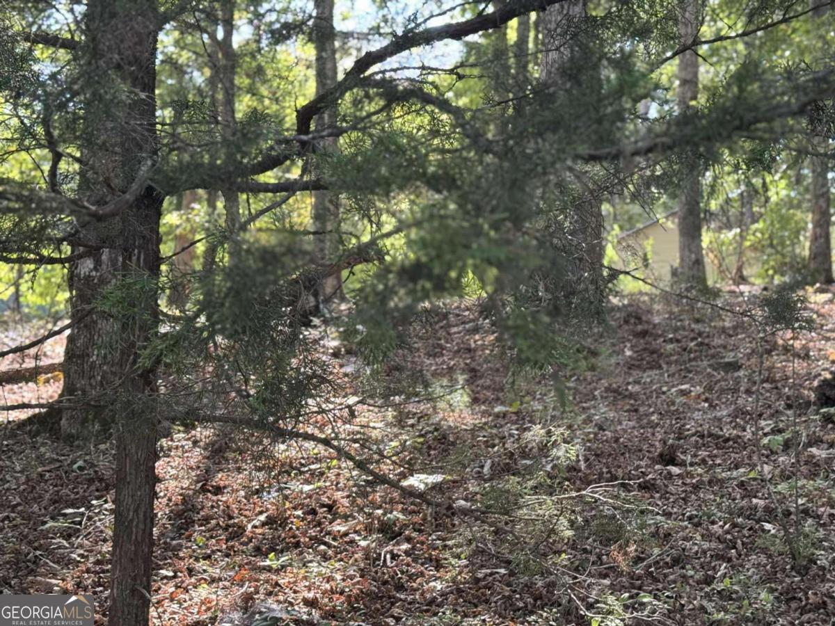 0 Cagle Road Ne Property Photo 1