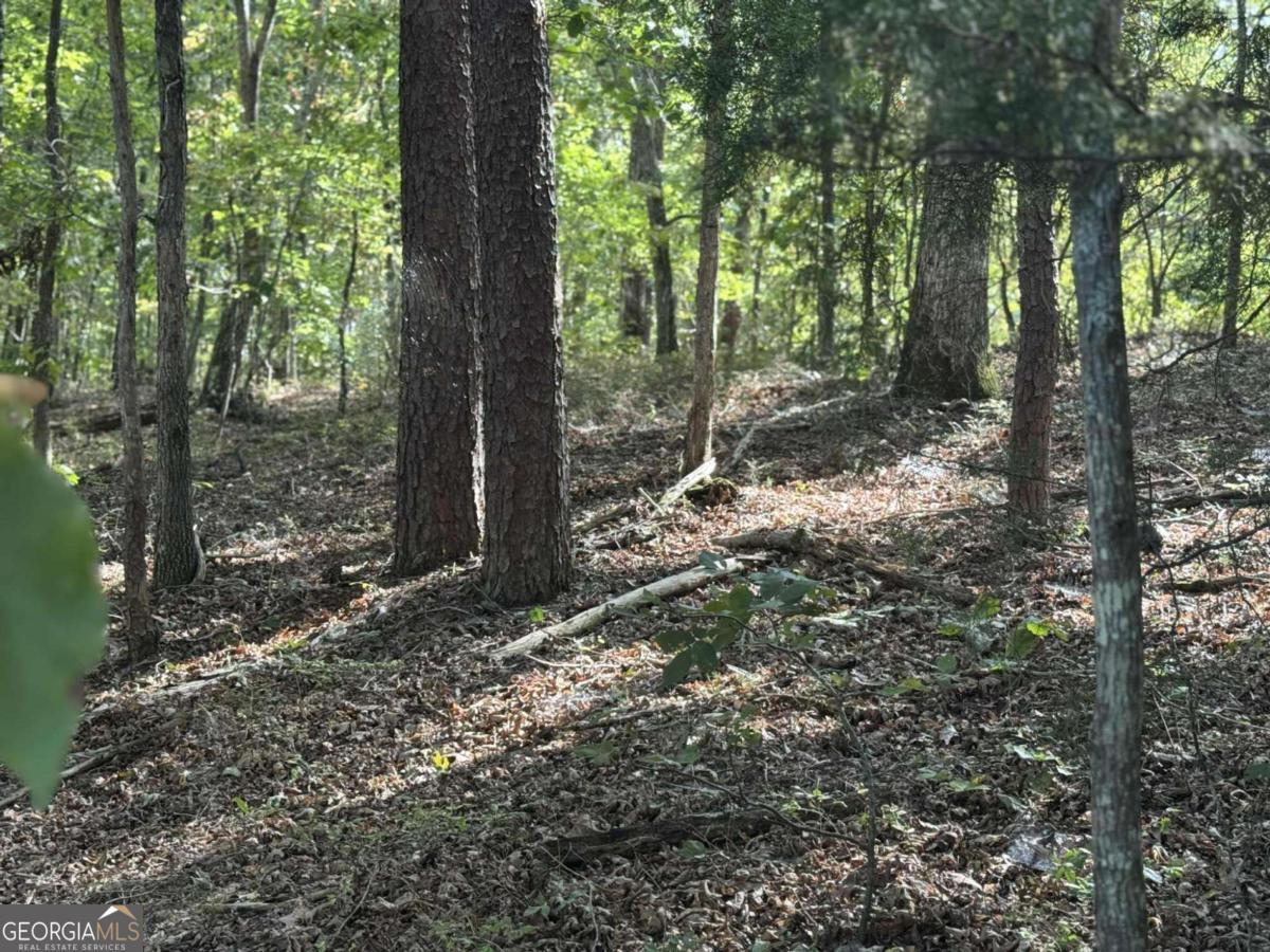 0 Cagle Road Ne Property Photo 3