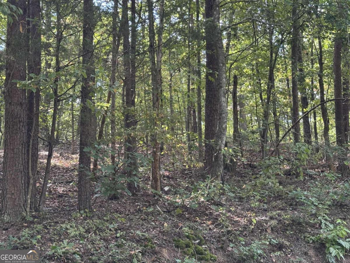 0 Cagle Road Ne Property Photo 6