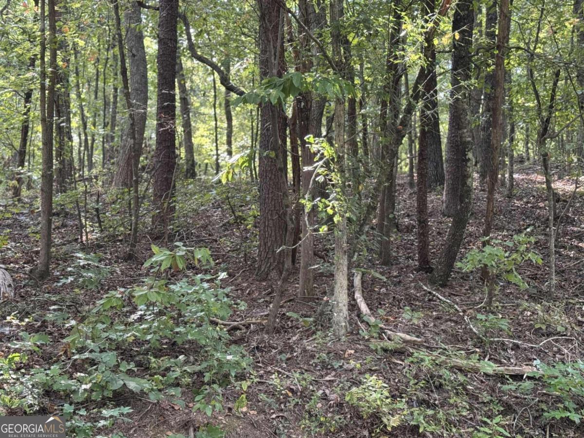0 Cagle Road Ne Property Photo 7