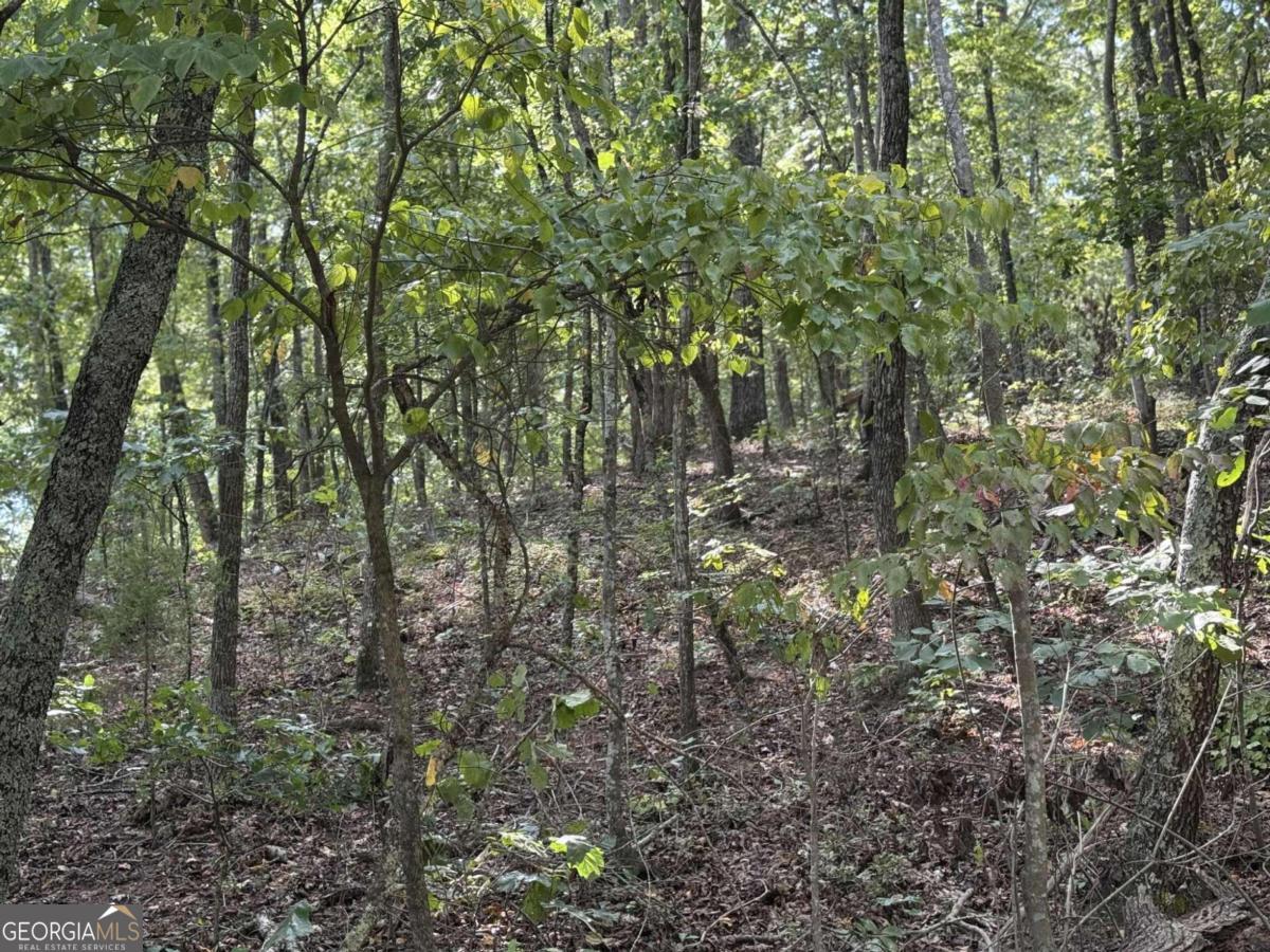 0 Cagle Road Ne Property Photo 9