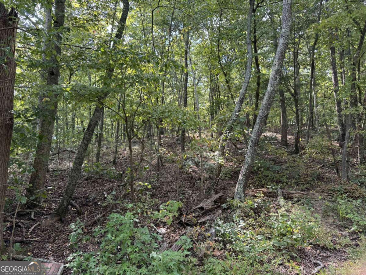 0 Cagle Road Ne Property Photo 10