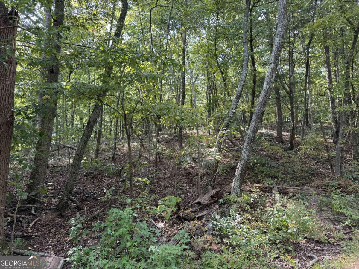 0 Cagle Road Ne Property Photo 12