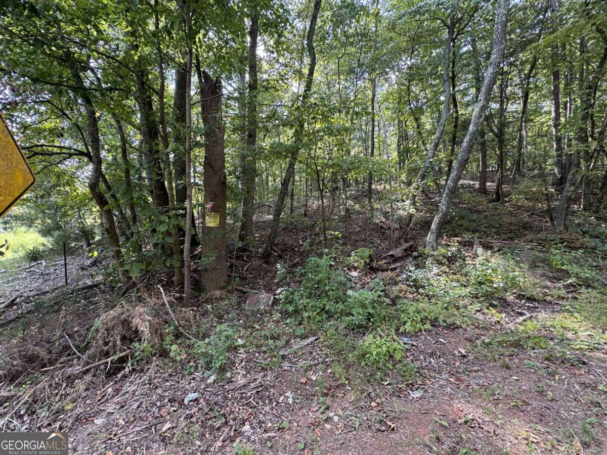 0 Cagle Road Ne Property Photo 13