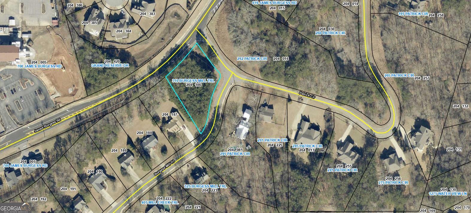 310 Burgess Mill Trail Property Photo 1